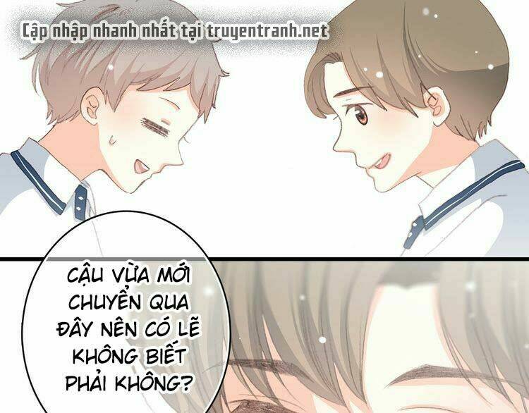 con tim rung động 3 chapter 15 71