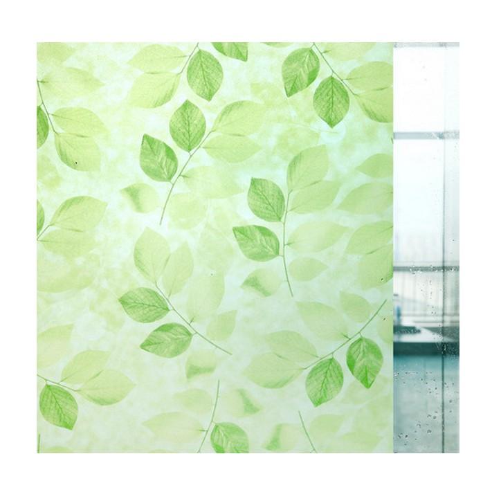 Cuộn 5m dán kính lá xanh khổ rộng 60cm keo sẵn