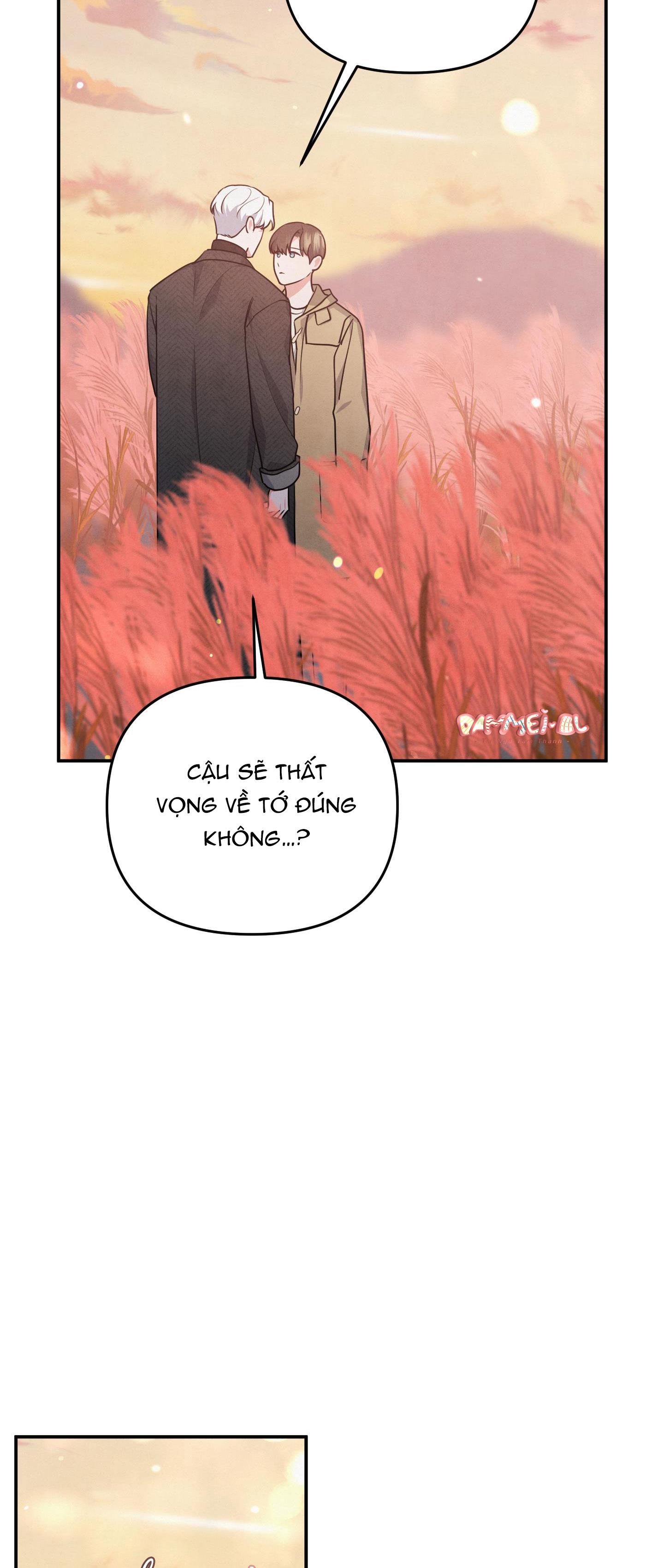 mối quan hệ ngu ngốc chapter 27 17