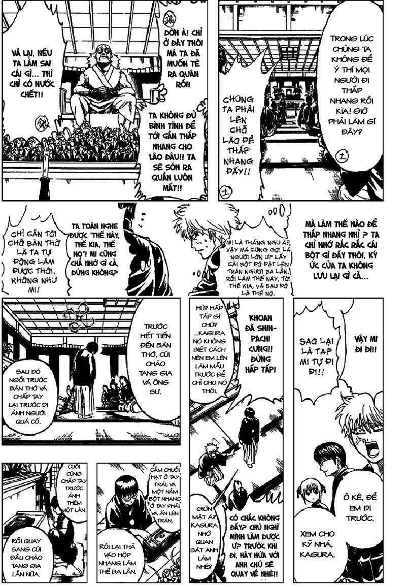 gintama - linh hồn bạc chapter 316 11
