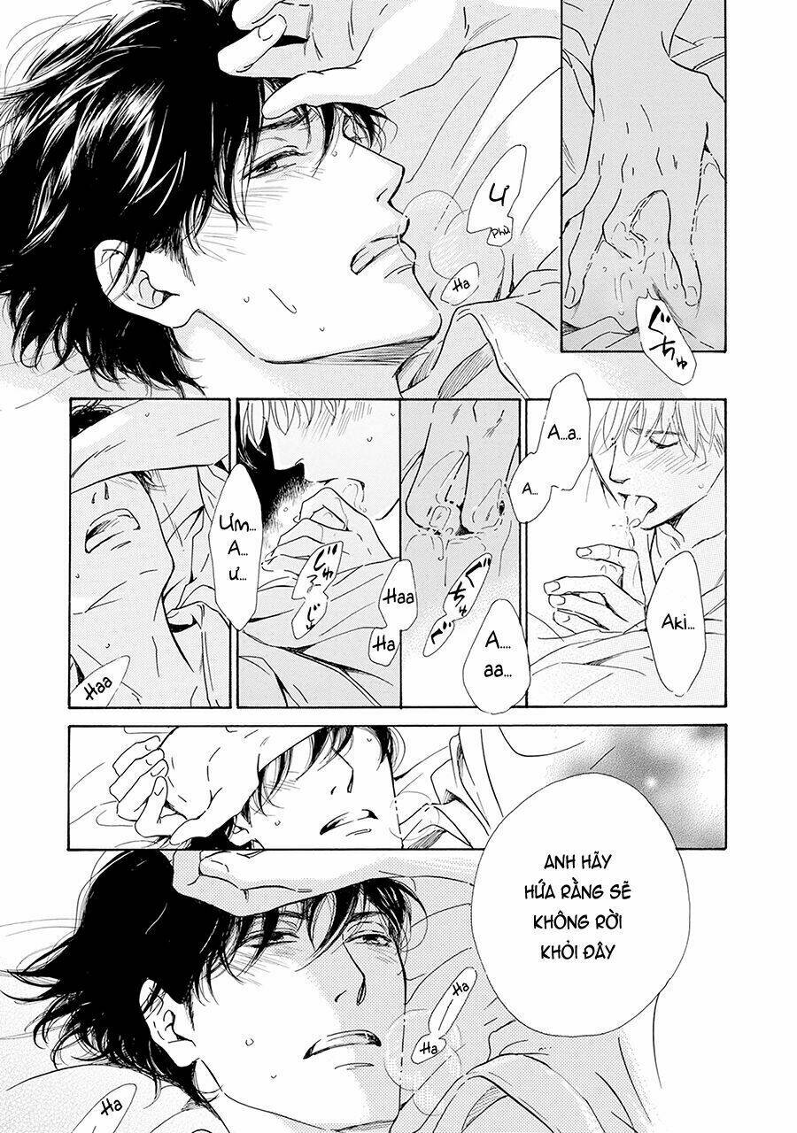 bình minh u sầu chapter 39 38