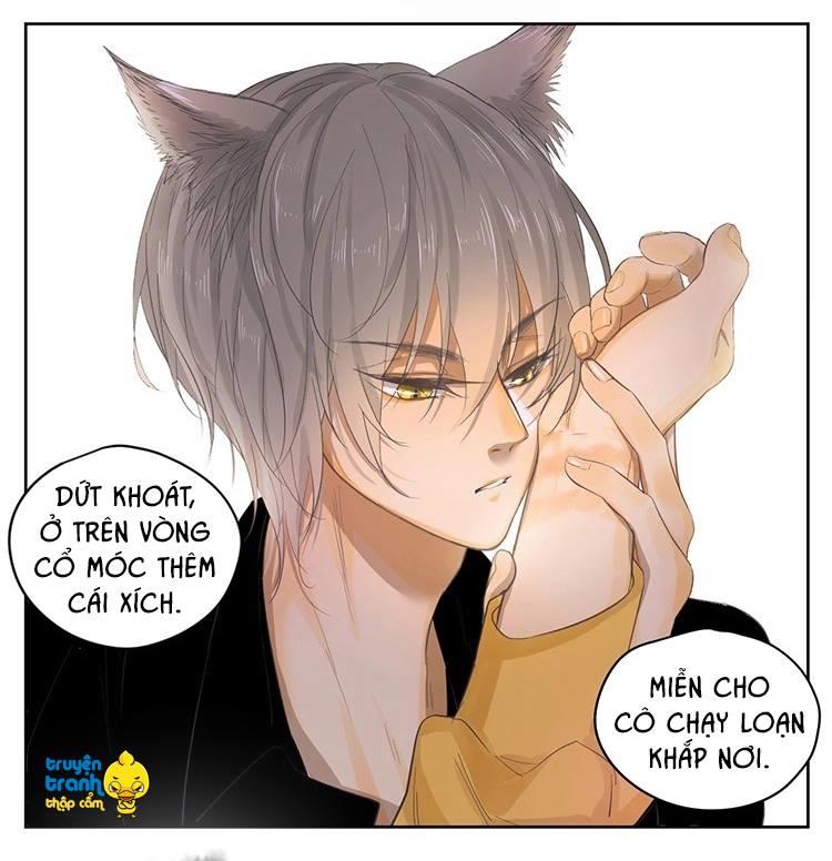 cứu mạng ! loài mèo thống trị thế giới rồi ! chapter 21 14