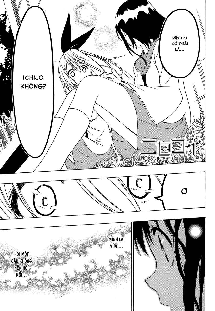 nisekoi - tình yêu giả tạo chapter 69 2