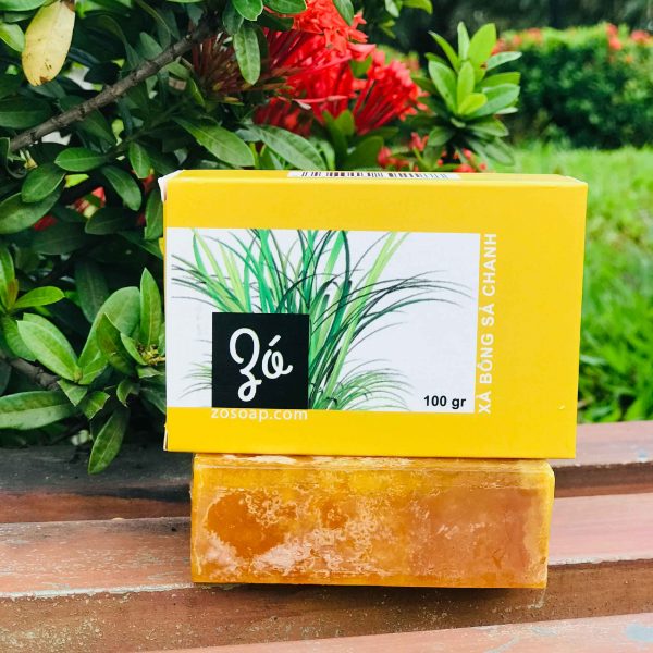 Detox Hỗ Trợ Giảm Cân Fresh Juice Detox Havyco 15 gói - Nước Trái Cây Hỗ Trợ Giảm Cân 5 Vị Dễ Uống -Hỗ Trợ Giảm Cân An Toàn Tặng kèm Xà Bông GIó Sả Chanh Sinh Dược GIúp Thải Độc Da