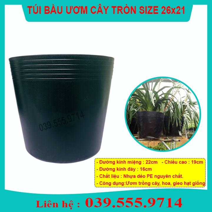 TÚI BẦU NHỰA MỀM ƯƠM CÂY SZE 26X21 -TÁI SỬ DỤNG NHIỀU LẦN