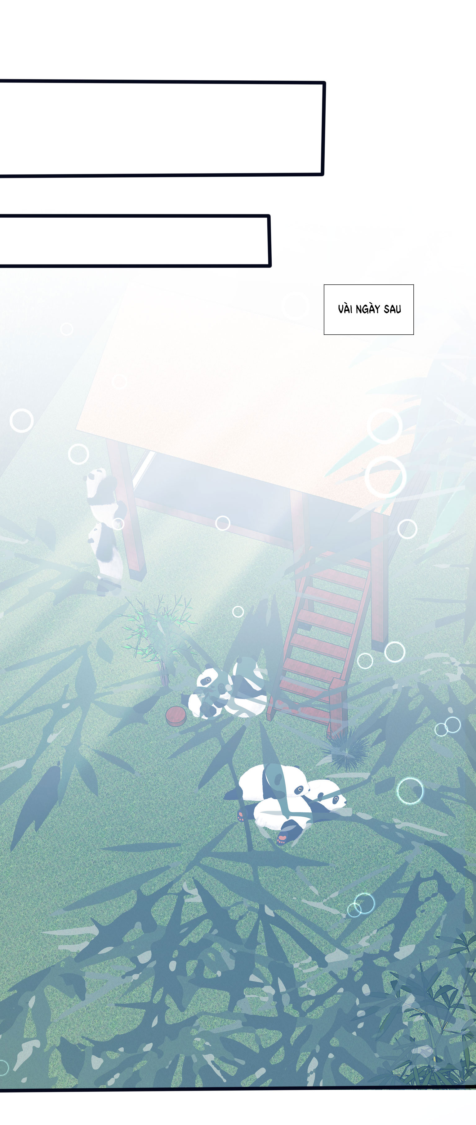 bí mật không thể yêu đương chapter 21 14