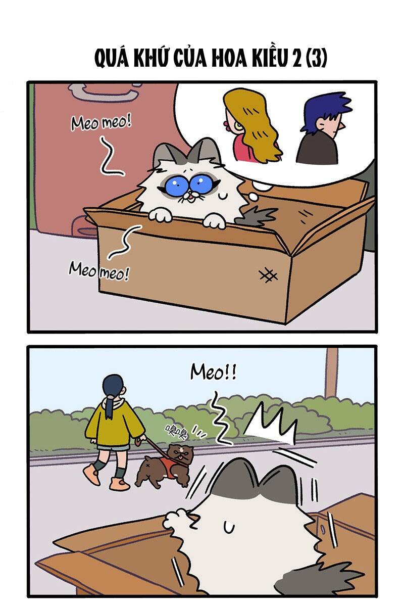 a mãn và mạch trà chapter 48 5