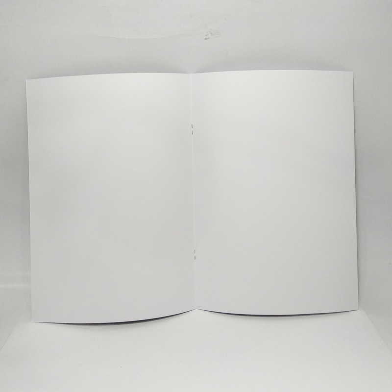 Tập Vẽ Picaso A4 20T