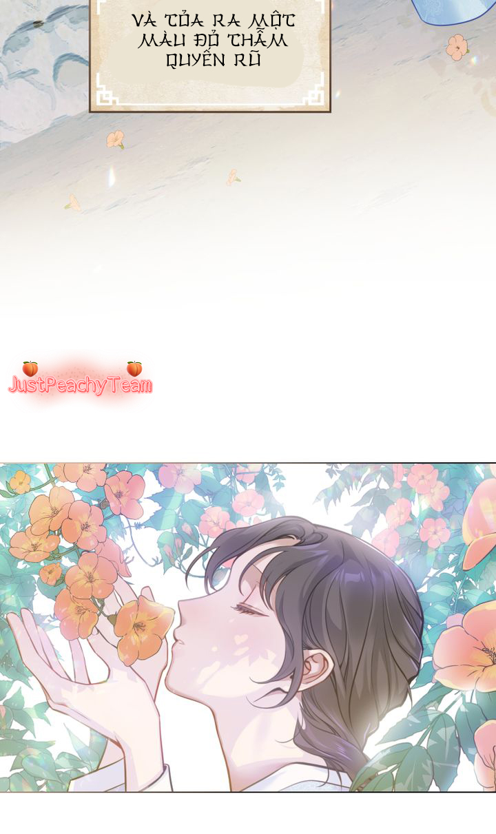 khi những nụ hoa nở rộ chapter 0 28