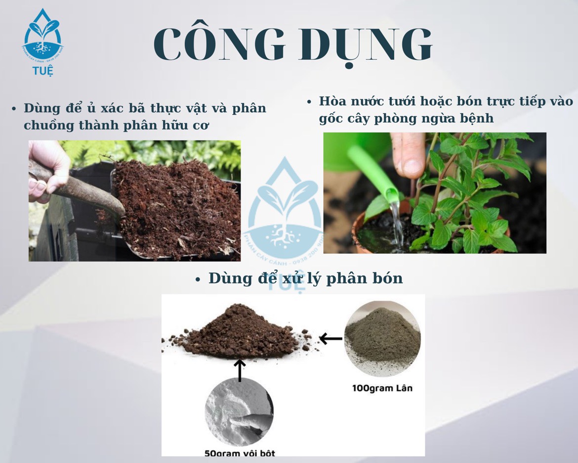 Chế phẩm men vi sinh nấm TRICHODERMA dùng ủ phân và xử lý đất