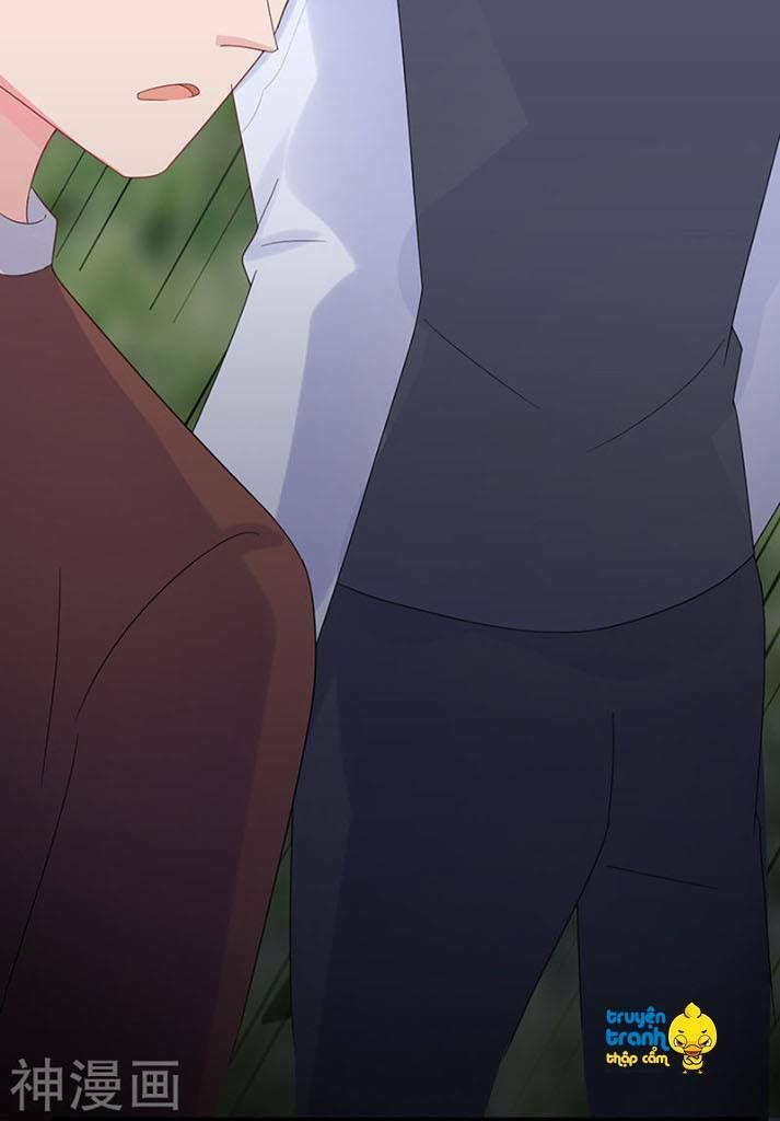 chọc tới chủ tịch tổng tài 2 chapter 69 17