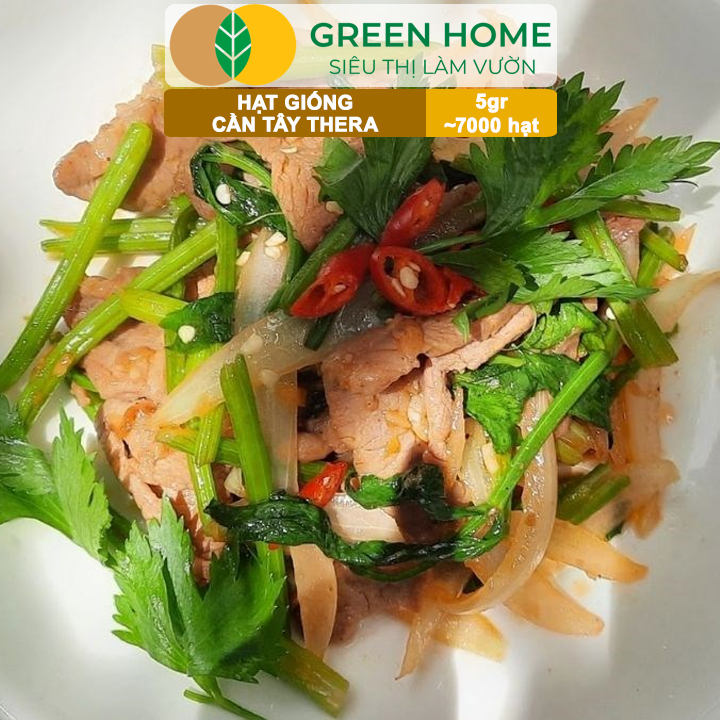 Hạt Giống Cần Tây Thera GreenHome, Gói 5g~700 hạt, Chịu Nhiệt Tốt, Năng Suất Cao, Nảy Mầm Đều G17