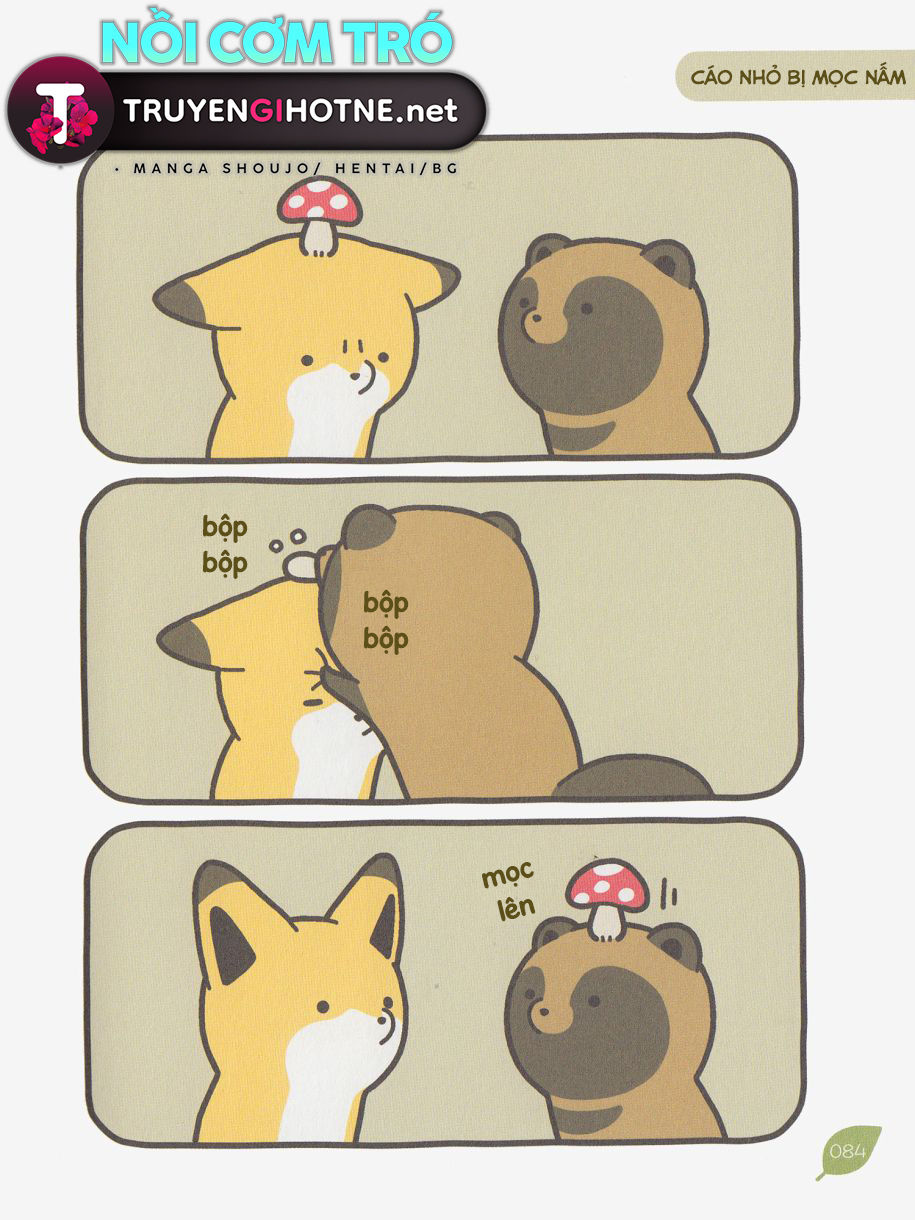 cáo và gấu mèo chapter 6 7