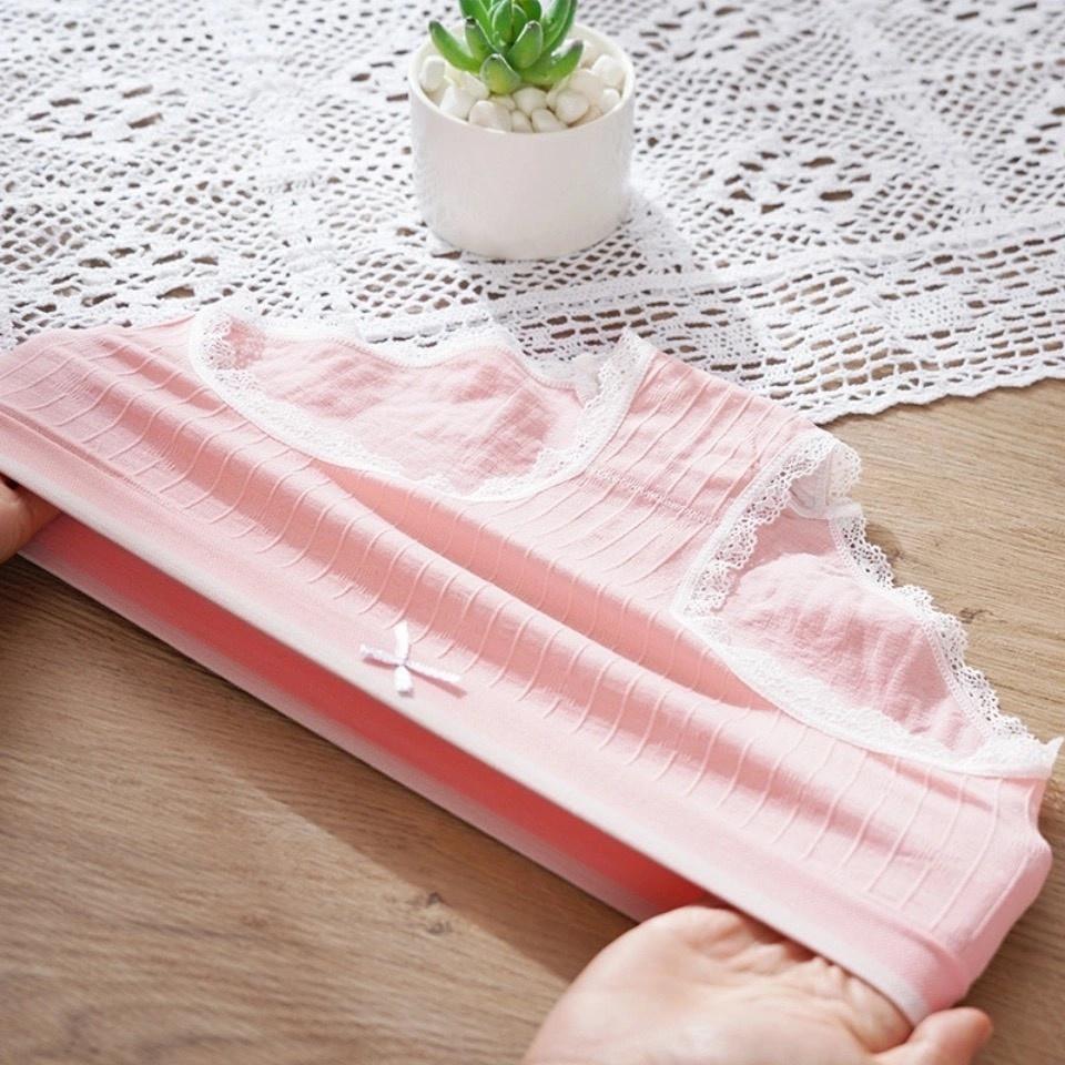 Hộp 5 Quần Lót Hồng Hạc Kháng Khuẩn Cao Cấp Beemit - quần chip Cotton sợi tăm tre kháng khuẩn Xuất Nhật