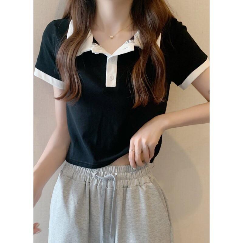 Áo croptop rộng cổ trụ phối màu basic - AO053