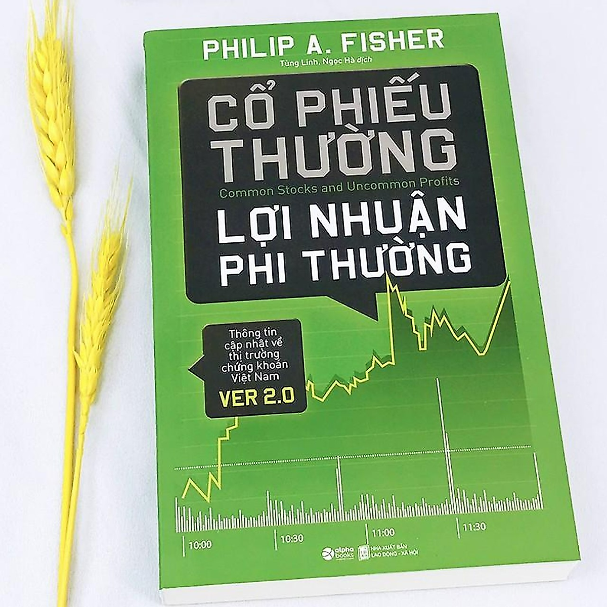Cổ Phiếu Thường, Lợi Nhuận Phi Thường (Tái Bản)
