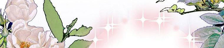 xin hãy kết hôn với em chapter 37 153