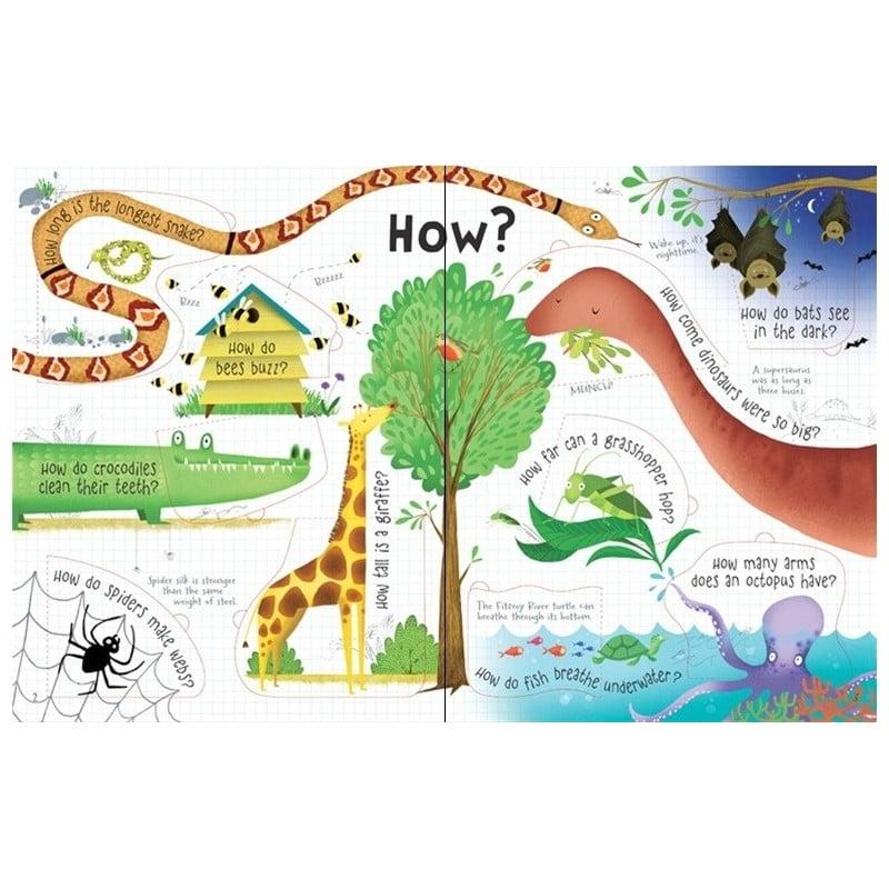 Sách Tương Tác Tiếng Anh - Usborne Lift - The - Flap Questions And Answers About Animals