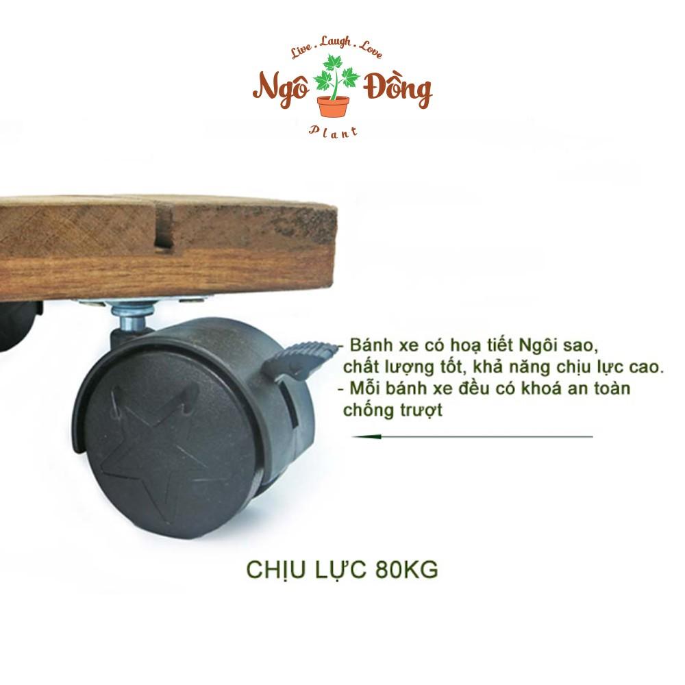 2 Đế Lót Chậu Cây Cảnh Chậu Hoa Bằng Gỗ Tràm Hình Vuông R30cm Chịu Lực Lên Đến 80kg Có Bánh Xe Khóa An Toàn Màu Đen