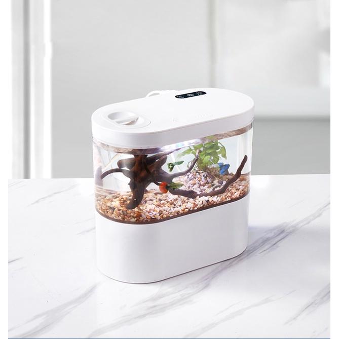 Bể cá thủy sinh mini để bàn làm việc 05