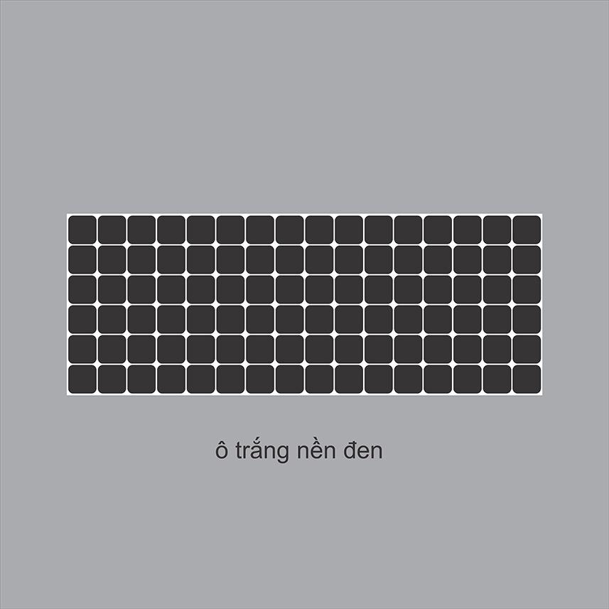 Tranh 3D trang trí đáy bể cá cảnh hình ô cờ
