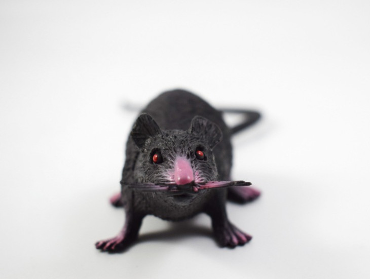 Mô hình con chuột độc đáo - Chất liệu mềm an toàn cho bé