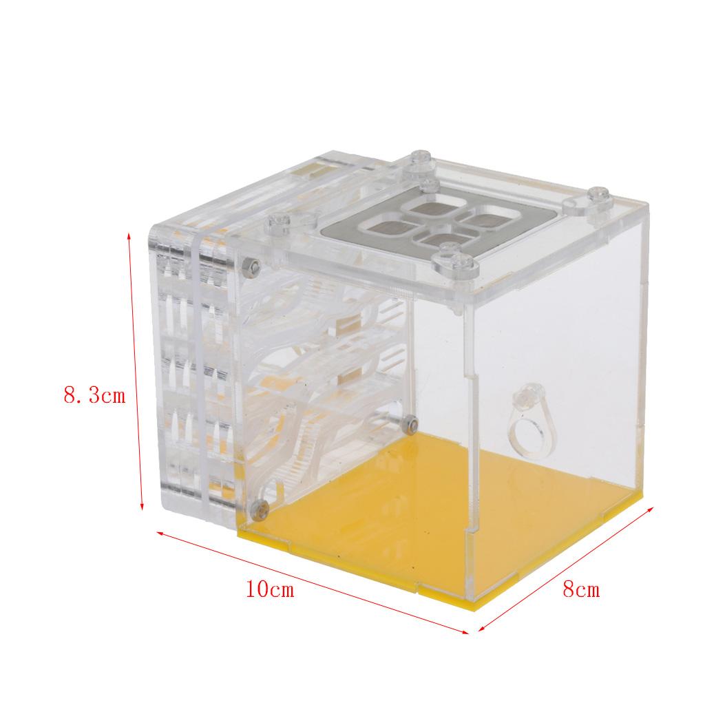 Kiến Nhà Ở Tổ Loài Côn Trùng Lồng Trang Trại Cho Ăn Độ Ẩm Bằng Nhựa Acrylic Màn Hình Hộp Vuông-Giáo Dục formicar