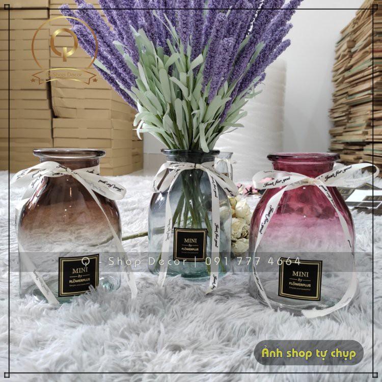 Lọ hoa, bình hoa thủy tinh cao cấp thắt nơ trang trí nội thất Mini Flower Plus Vintage
