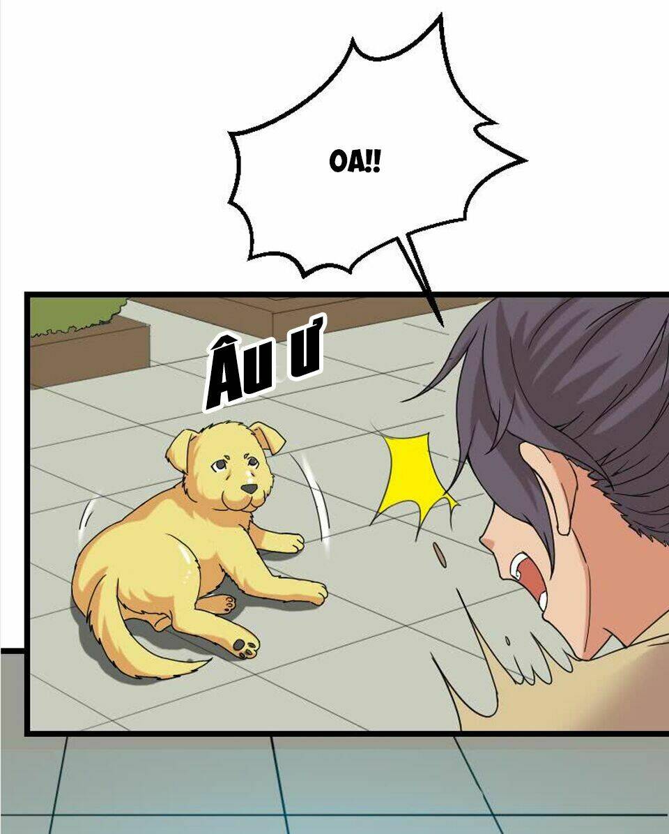 ngưu thư cung ứng thương chapter 15 4