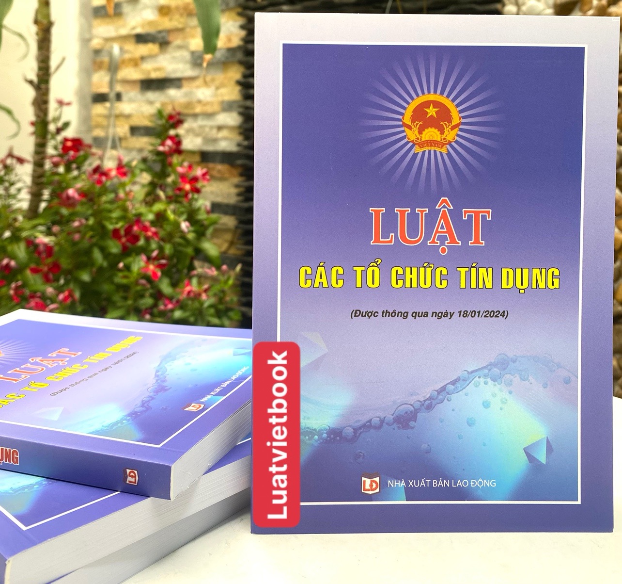 Luật Các Tổ Chức Tín Dụng