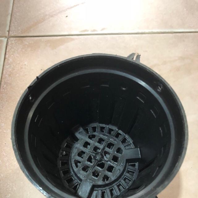 10 CHẬU TRỒNG LAN PHI 21