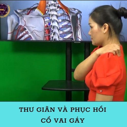 Combo 3 Khóa Học Xoa Bóp Bấm Huyệt Cho Dân Văn Phòng - Trung Tâm VMC