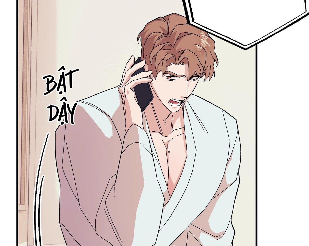 chàng dâu nhà họ kang chapter 47 152