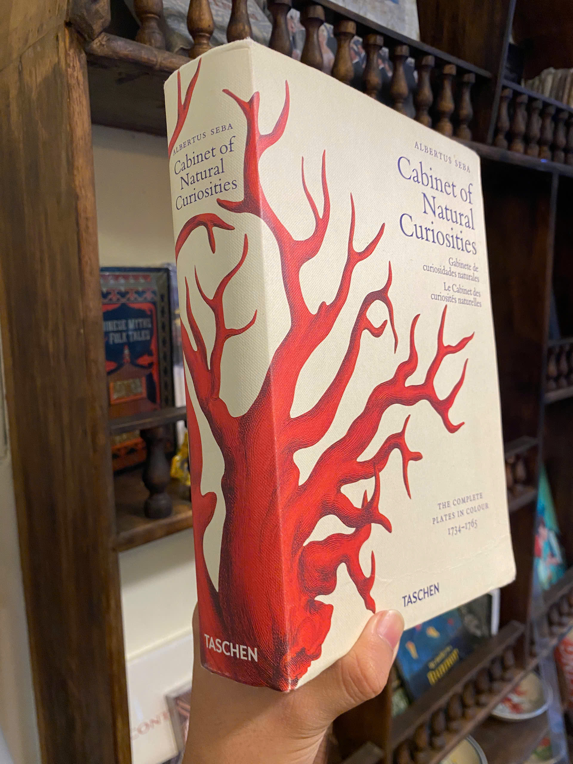 Sách - Cabinet of Natural Curiosities by Albertus Seba | Natural History - English Science Book