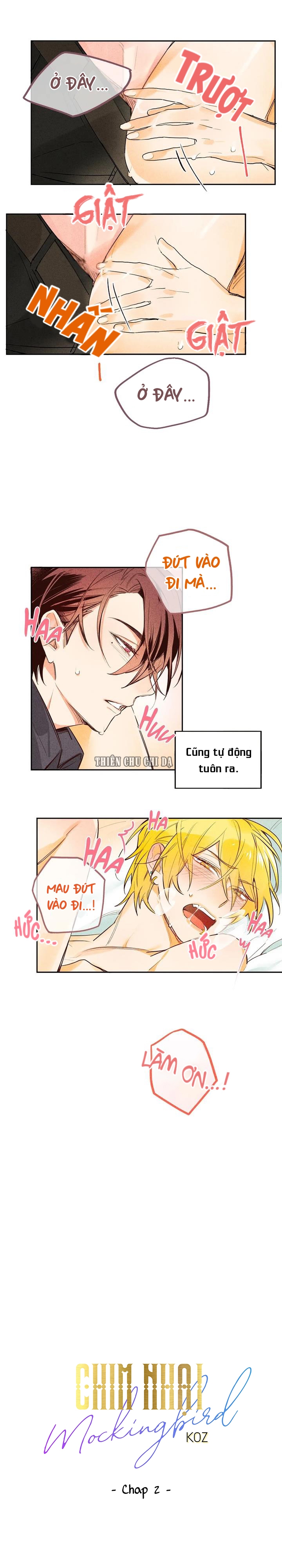 pheromone shower (chim nhại) chapter 2 3
