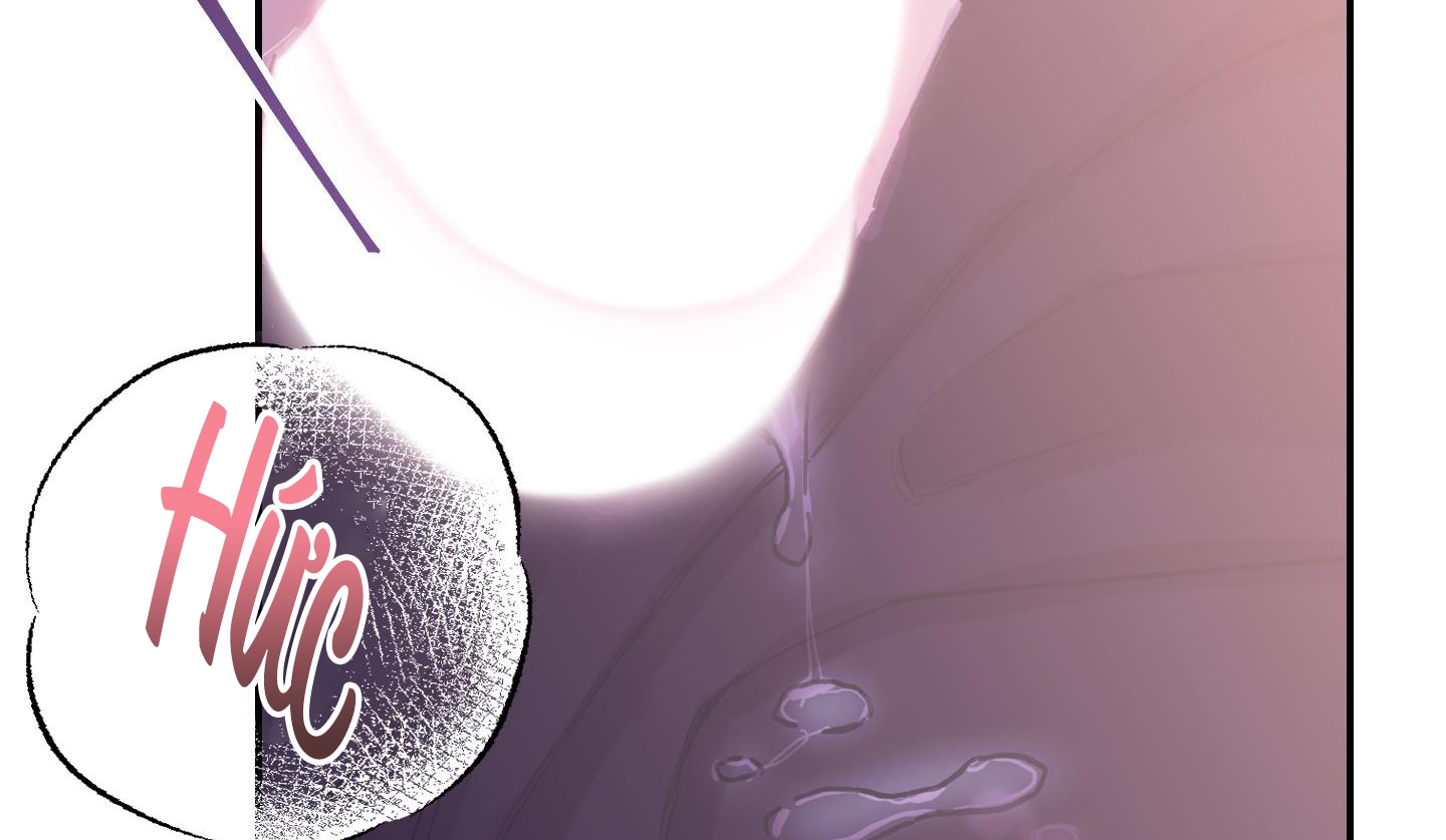 lãng mạn giả dối chapter 5 148