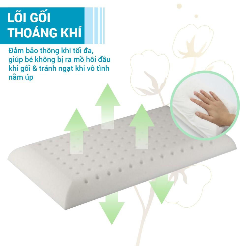 Gối cao su non cho bé 100% Cotton hữu cơ có lỗ chống ngạt cho bé Comfybaby 6201 - Đồ dùng cho bé từ sơ sinh tới 8 tuổi - CF062018N03 & CFN01