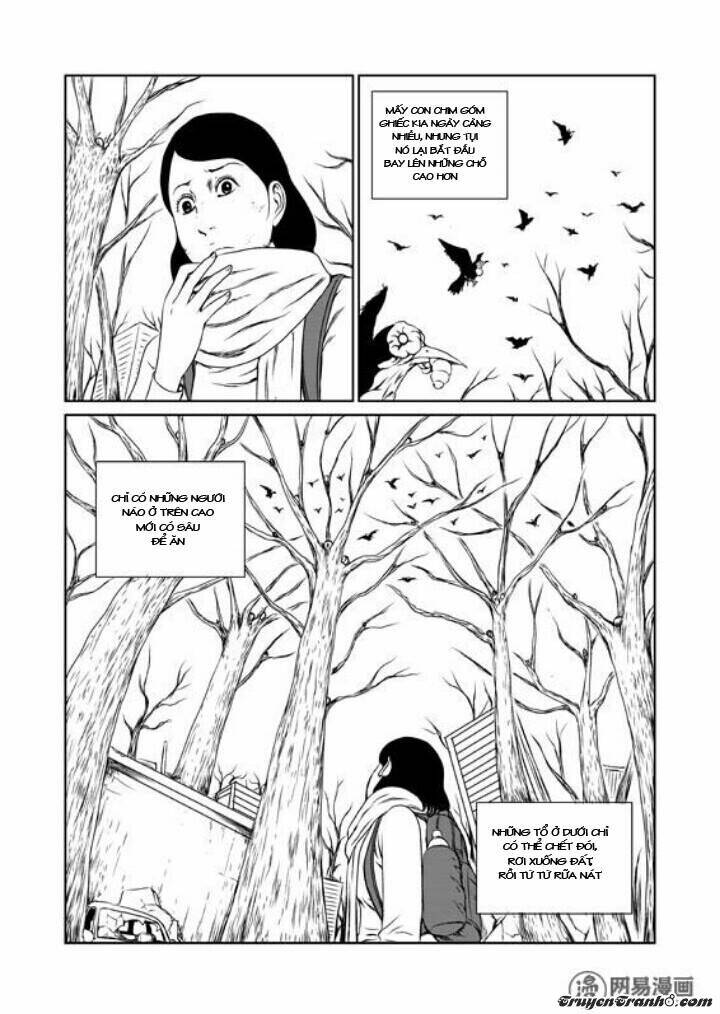 tổ chim chapter 1 30