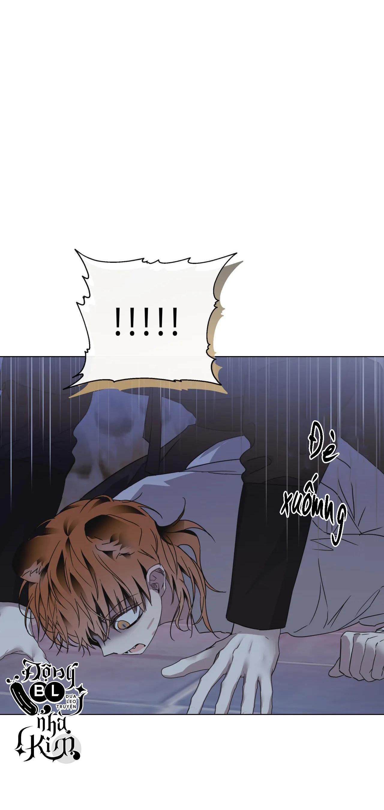 bl cổ trang - âu cổ ngắn nhà kim chapter 11.1 64