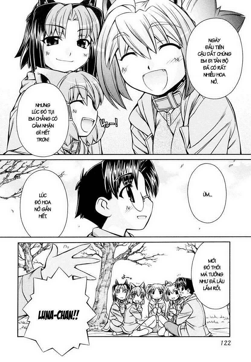 inumimi chapter 17 22