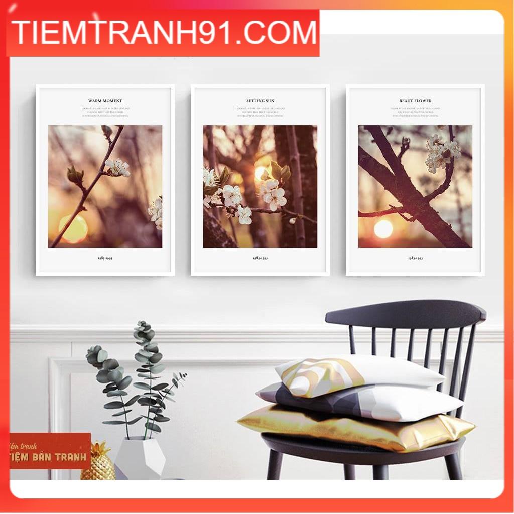 Tranh treo tường - Bộ 3 bức canvas tổng hợp 81 , tranh canvas giá rẻ