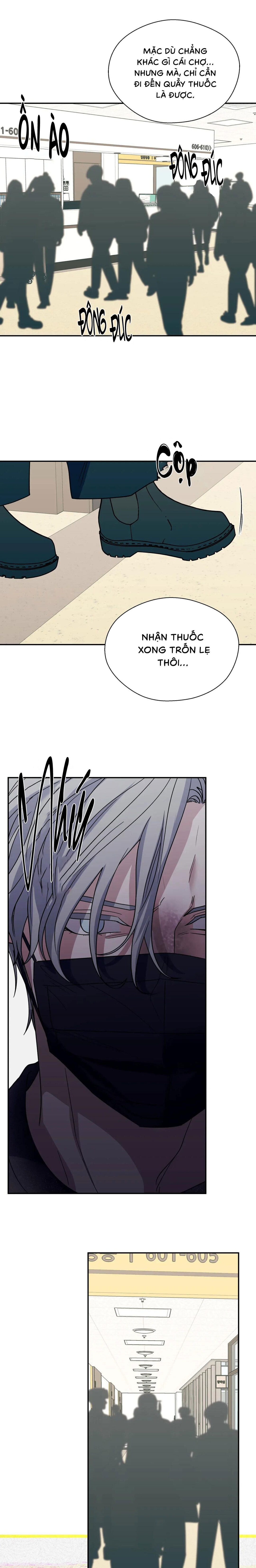 ám ảnh pheromone chapter 82 11