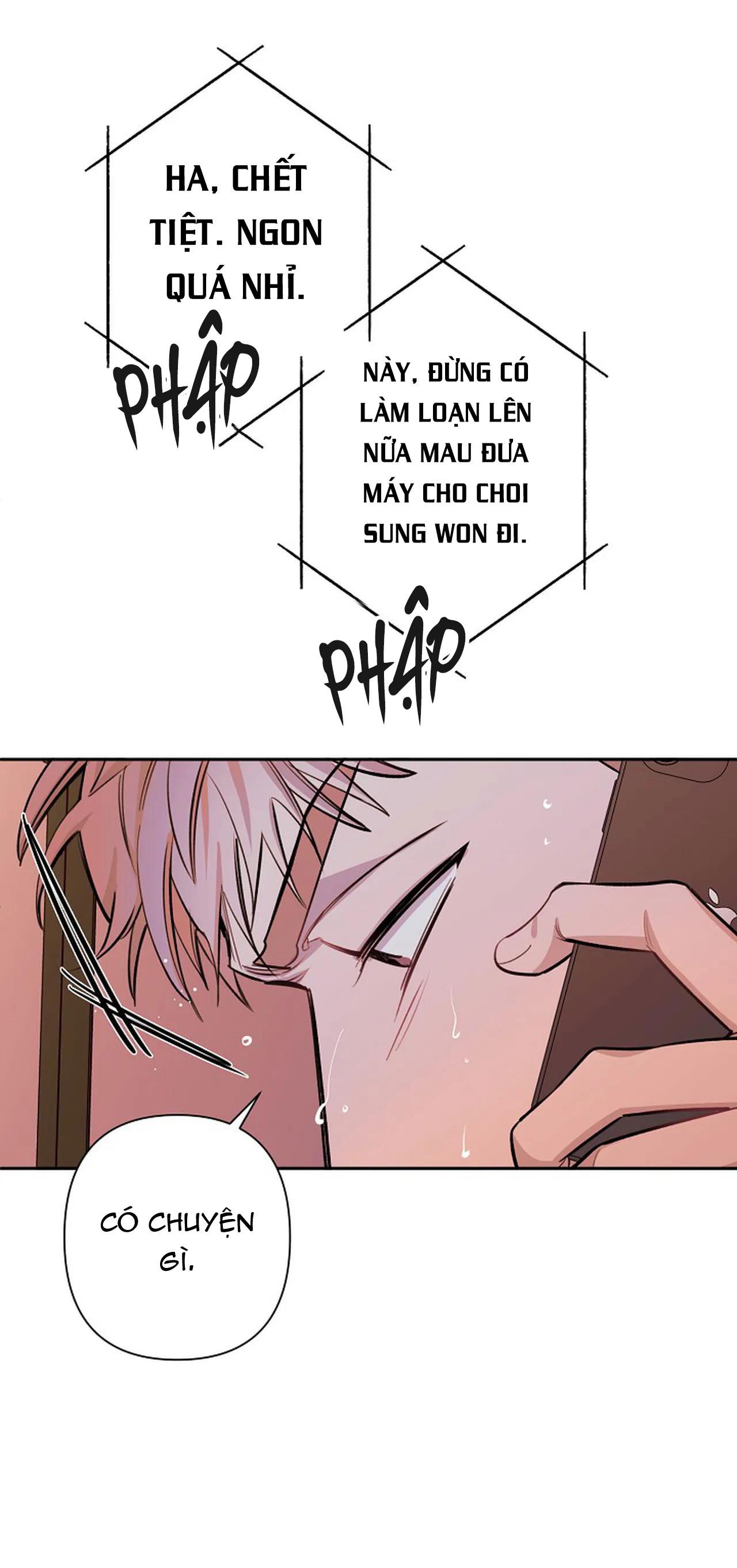 đêm dịu dàng chapter 50 13