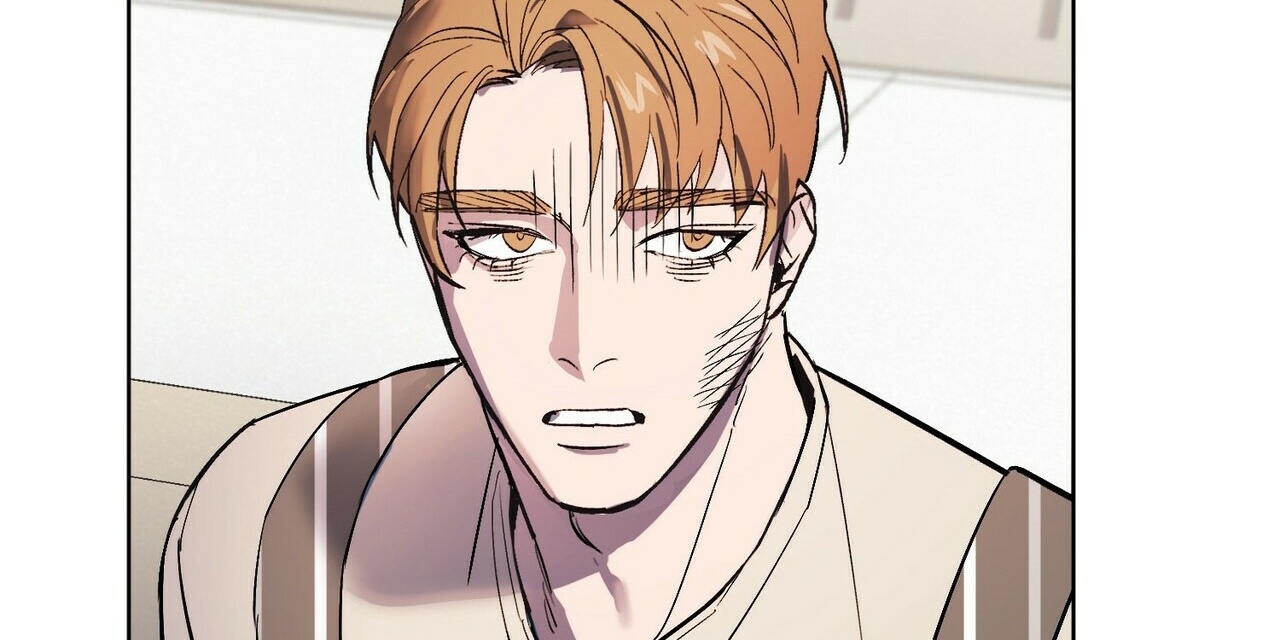 chàng dâu nhà họ kang chapter 2 227