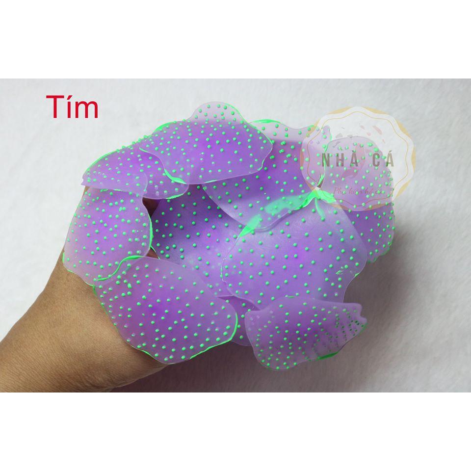 HẢI QUỲ DẠ QUANG - PHỤ KIỆN TRANG TRÍ HỒ NƯỚC MẶN - HỒ CÁ CẢNH - THỦY SINH
