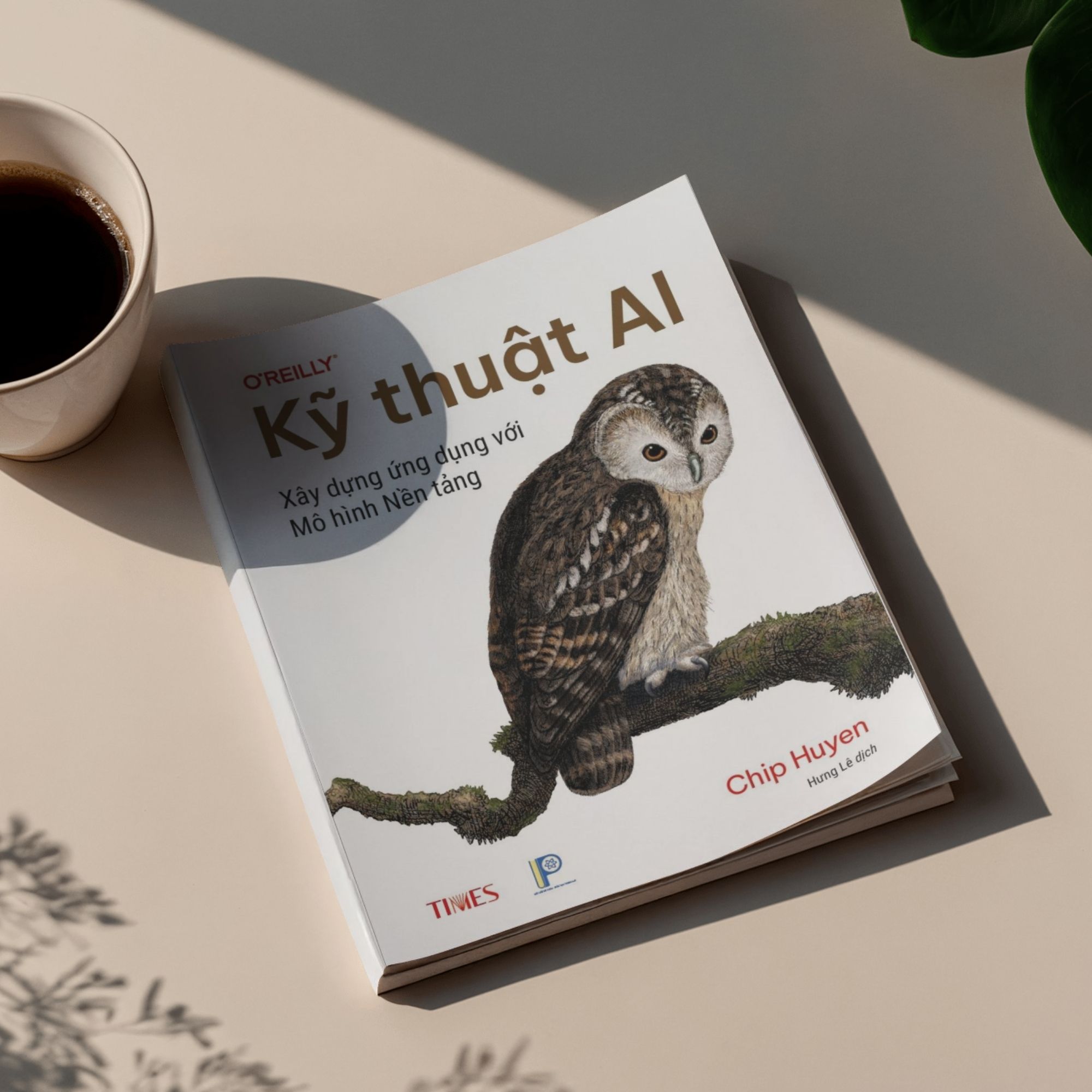 Sách Kỹ thuật AI: Xây dựng ứng dụng với mô hình nền - Tác giả CHIP HUYEN