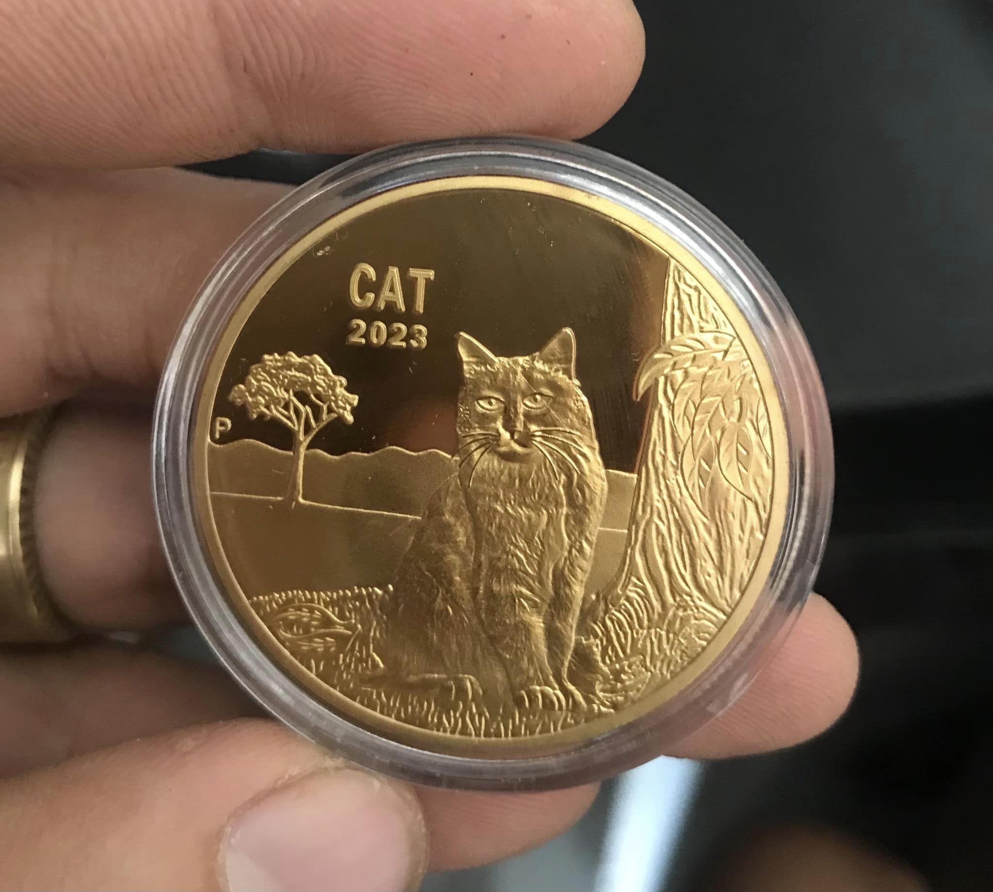 Xu Con Mèo kỷ niệm năm Mão của Úc mạ vàng, kèm hộp đựng