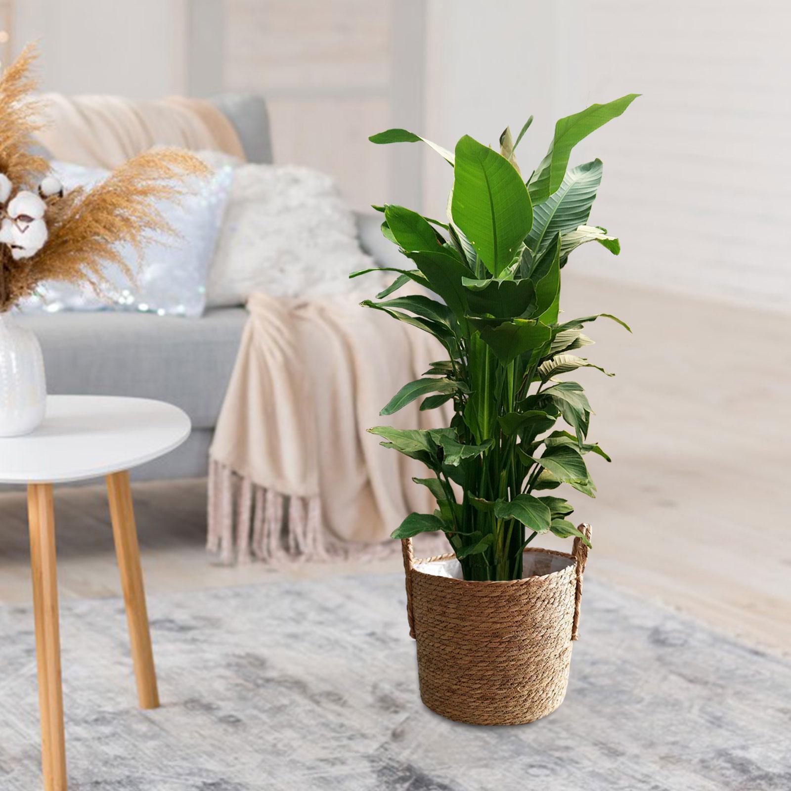 Flower Basket Rustic Storage Bin Candy Basket for Bedroom Living Room