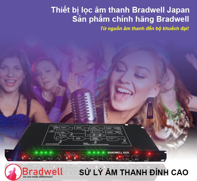 Lọc âm karaoke Bradwell Hàng Chính Hãng