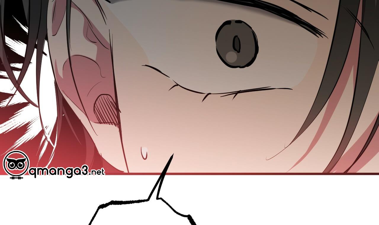 những chú thỏ của hapypy chapter 51 217